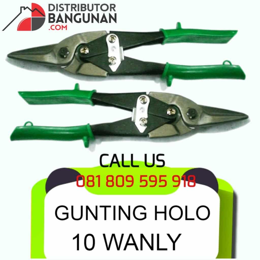 GUNTING HOLO 10 WANLY